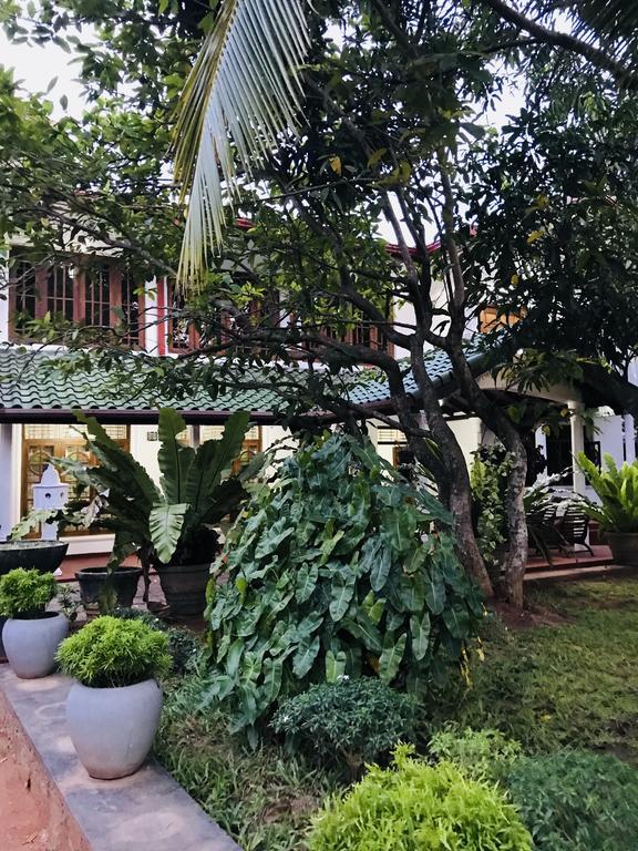 Pearl House Resort アヌラーダプラ エクステリア 写真